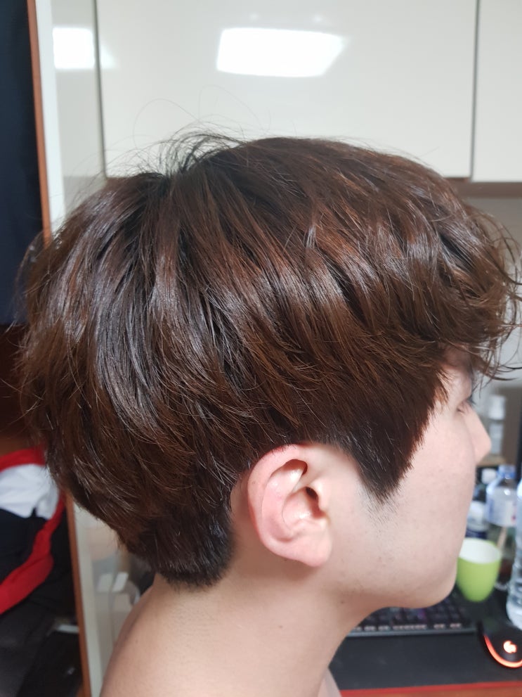  다이소 3000원 염색약 컬러슈어 거품 염색 후기