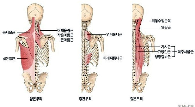  초보자들에게 랫풀다운 하나로 등의 상/하/안/밖 집중하기 
