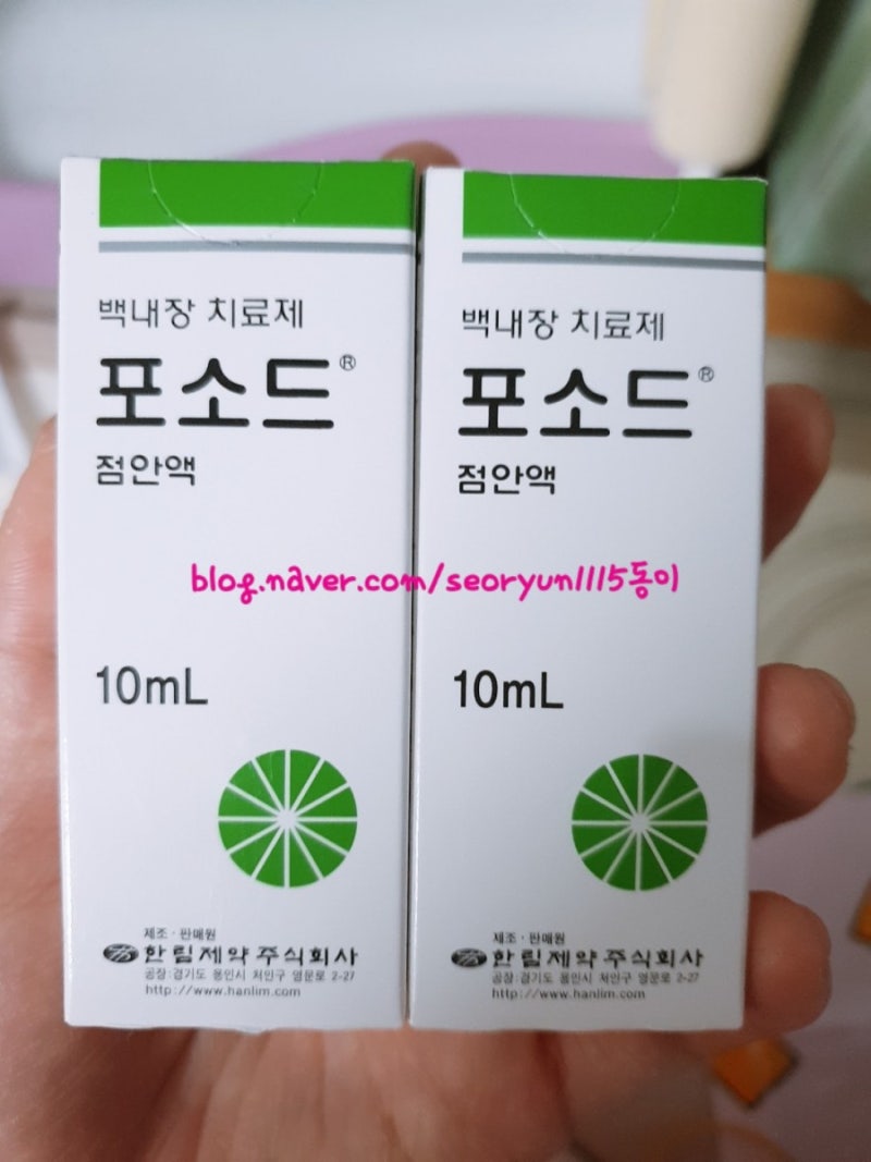 구야 안약 바꾸다. 당뇨견 백내장 케어하는중 : 네이버 블로그