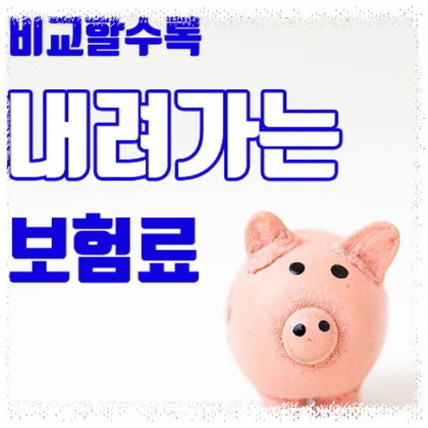  단기책임보험 준비하실때