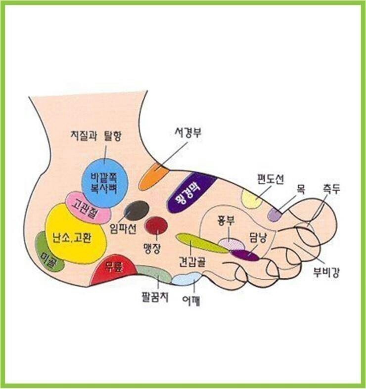 발 마사지 효과와 방법 및 발이 말해주는 나의 건강상태