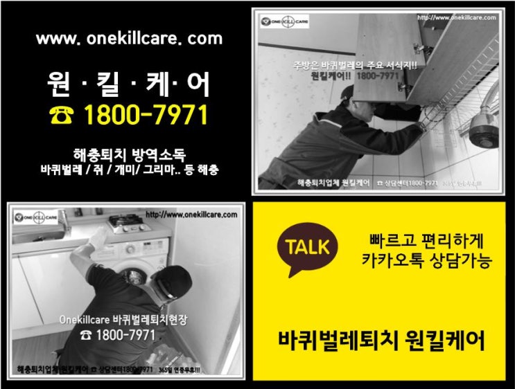  천안소독방역 :: 확실한 퇴치!! 천안바퀴벌레퇴치 전문 업체 원킬케어