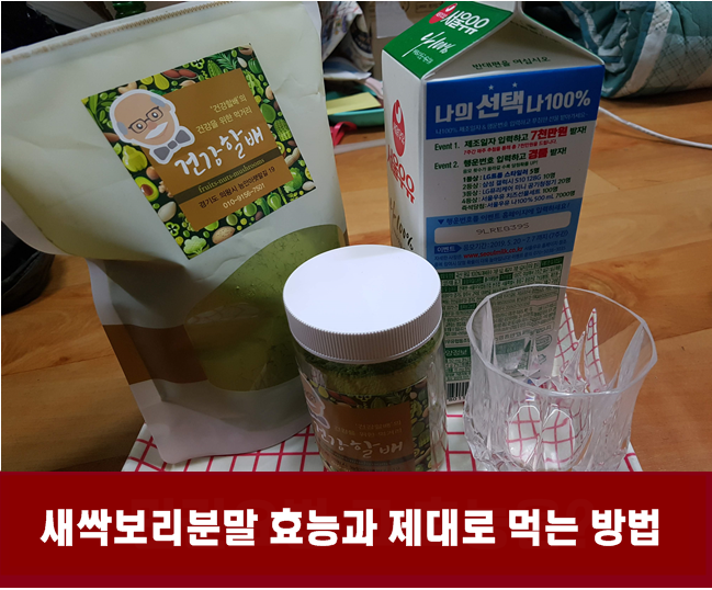  새싹보리 분말 효능과 보리새싹분말 잘 먹는방법 알아보기