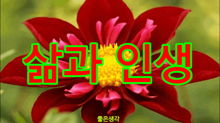  삶과 인생에 관한글(118)