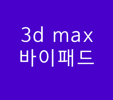 3d max 바이패드 3d max 바이패드