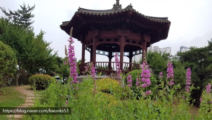 김포 걸포중앙공원에서 손자와 나들이 즐기기