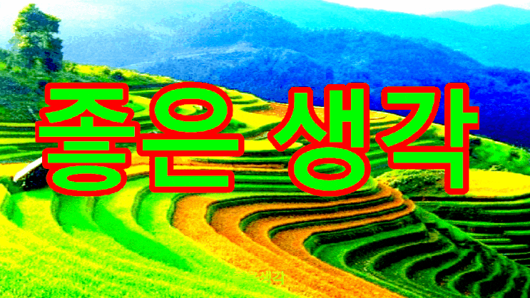  새론의 좋은생각