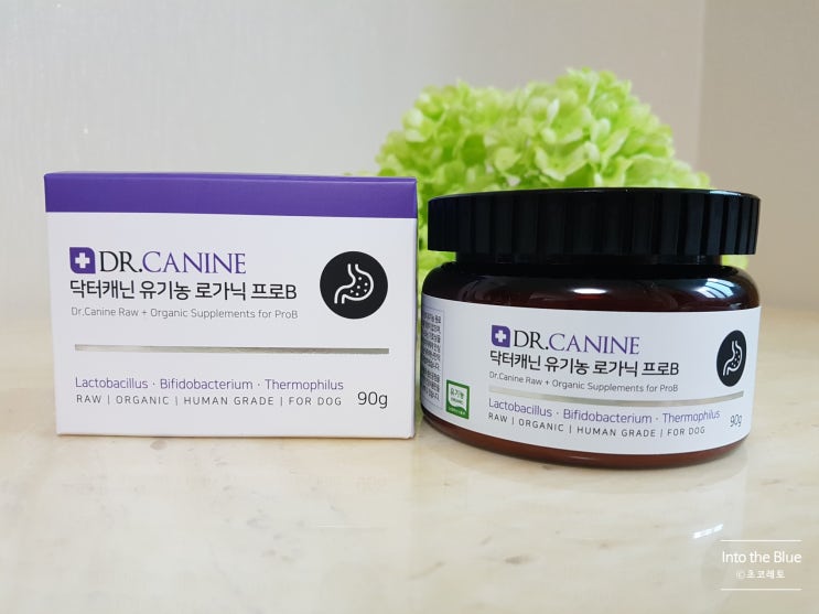  닥터캐닌 유기농 강아지 유산균영양제 로가닉프로B 먹여봤어요 - 소중한 반려견 건강은 내가 챙겨요