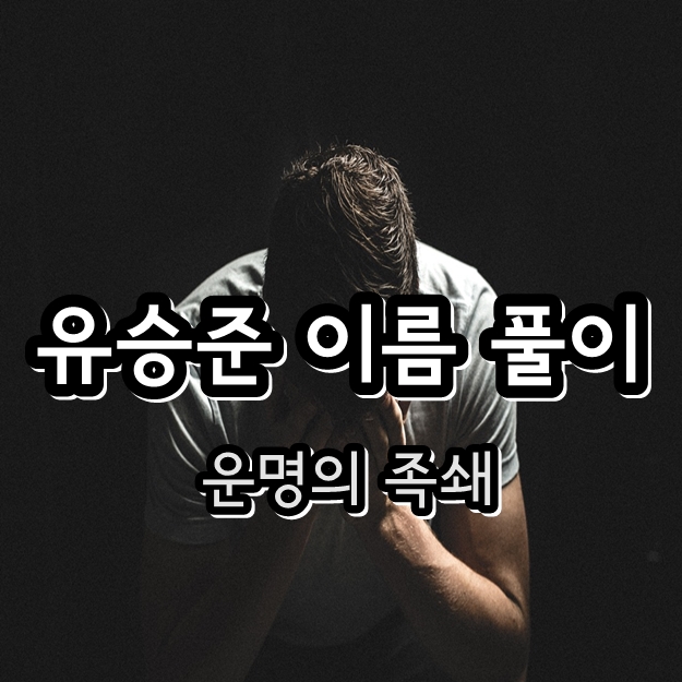 유승준 다지음 이름 풀이 - 입국 대법원 판결 스티브유 병역 기피 사건 부인 오유선 유승준 다지음 이름 풀이 - 입국 대법원 판결 스티브유 병역 기피 사건 부인 오유선