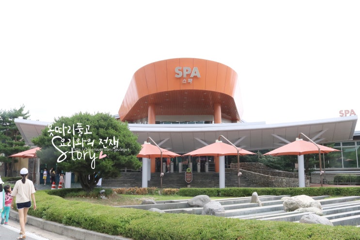  강원도여행추천 설악 워터피아 다자녀 할인 받고 이용팁