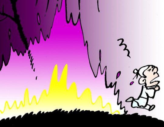  '4류 정치' 덫에 기업만 '만신창이' 됐다...中 사드에 日 경제보복