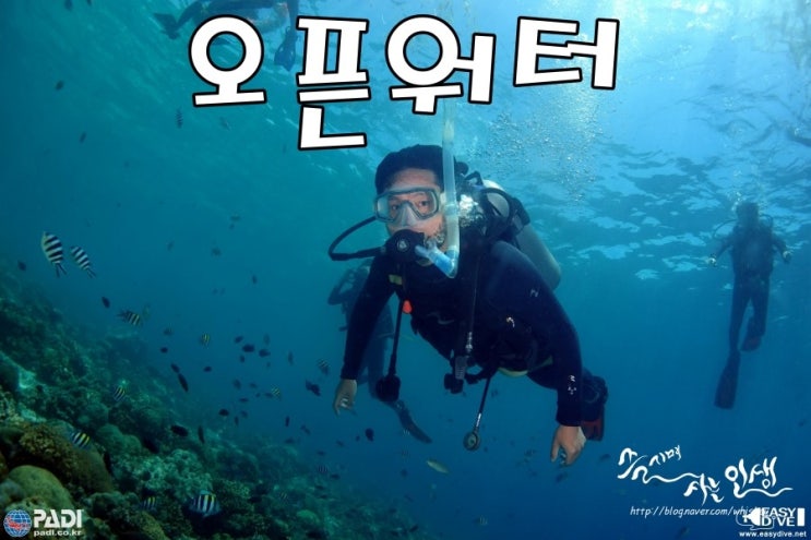  [세부 이지다이브] 오픈워터 자격증 따기 3일차 