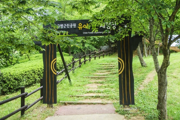  솔향기 가득한 주민들의 휴식처 진영 금병공원
