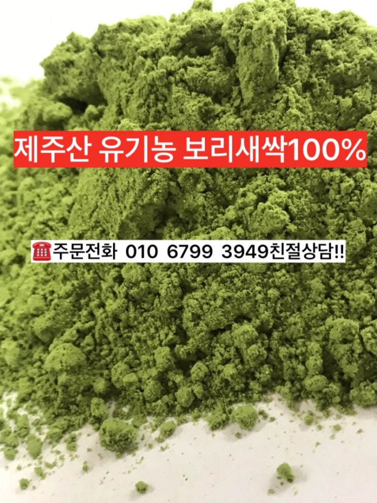  보리새싹 파는곳 보리새싹 분말100%제주 인증 상품!