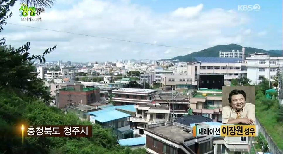 참나무골