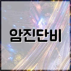  암진단비