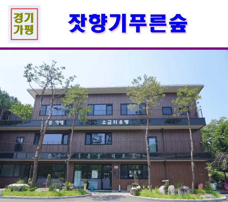  가평 가볼만한곳 잣향기푸른숲 이용 후기~