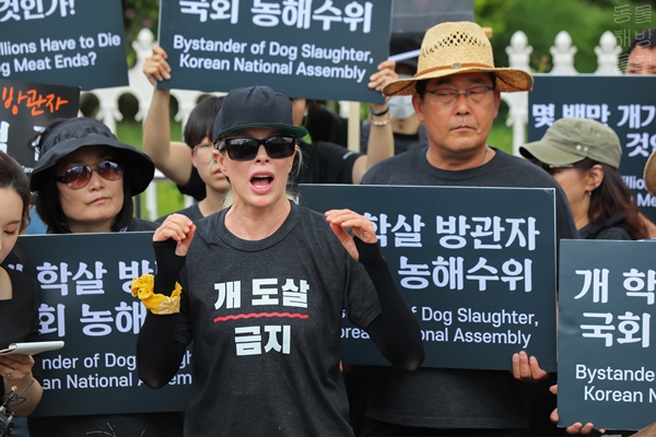 [킴 베이싱어] '할리우드 스타' 킴 베이싱어, '2019 복날추모행동' 행사에서 '개 식용 중단 요구' 나서!