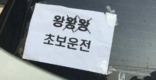 점점 능숙해지는 초보 운전자