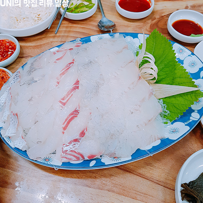  제주도청맛집 횟집 모살물, 객주리조림도 유명한 로컬맛집