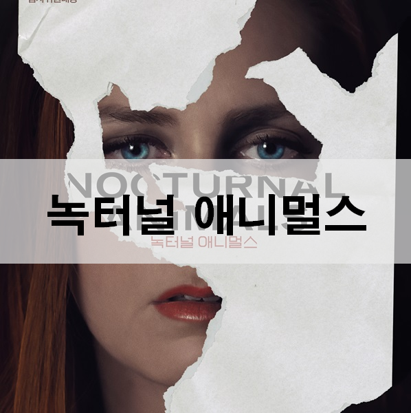  녹터널 애니멀스 줄거리 결말 스릴러 영화 추천
