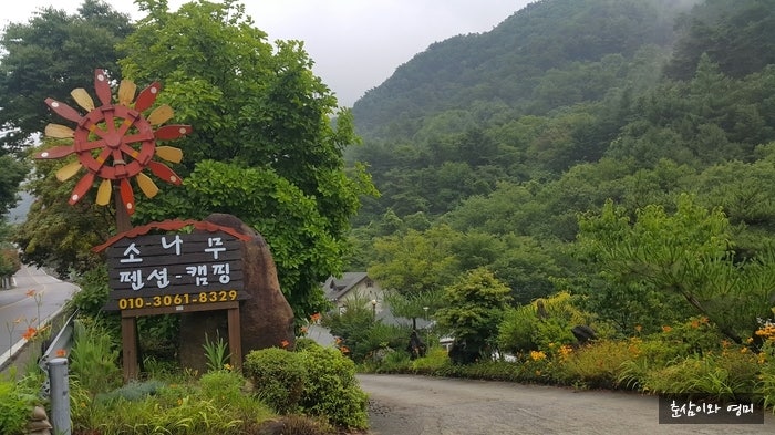 소나무집펜션 사진 1