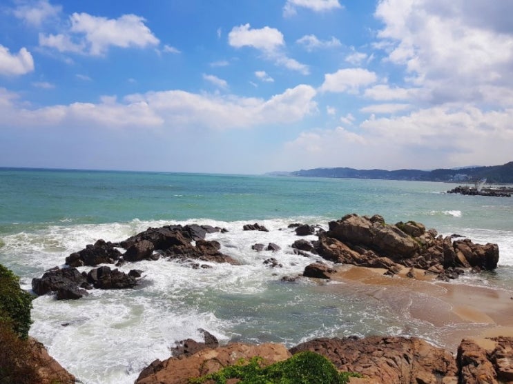  시원한 파도 보고 가세요/부산기장 waveon cafe