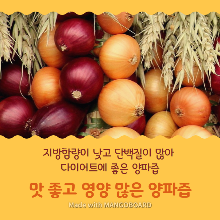  양파즙 하루 섭취량