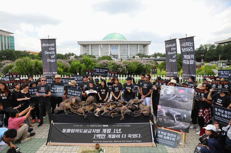  초복, 개 도살 금지 외치는 대집회 국회 앞에서 열려