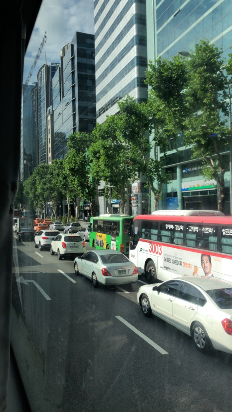  에버랜드 캐스트 면접 후기(부산에서 에버랜드 가는방법)