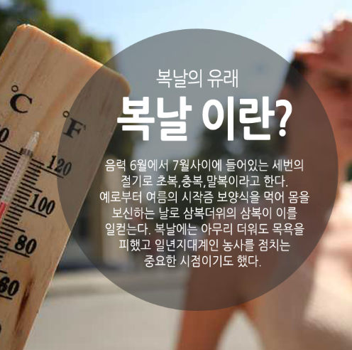  복날에는 삼계탕