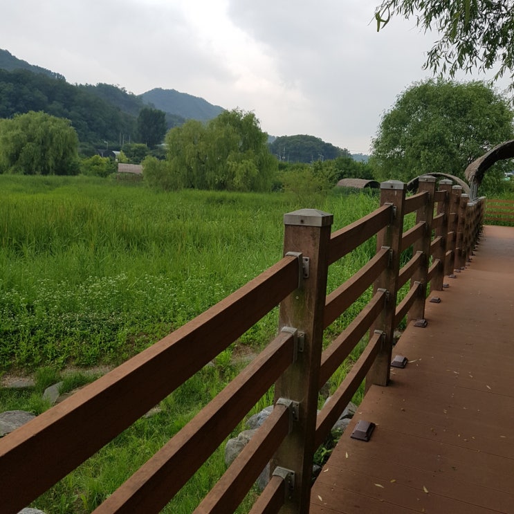  안양천 산책 어때요?