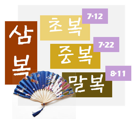  초복
