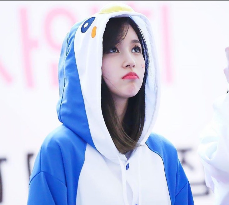  트와이스 미나 퇴출하라고???
