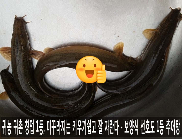 초복, 복날 국민 보양식 선호도 1위 미꾸라지 추어탕, 삼계탕 한 그릇 삼복더위 시작 - 김포시 월곶면 개곡리(애기봉로) 열분해 바이오디젤유 생산, 내연기관 디젤 발전소 1MW 가동 중