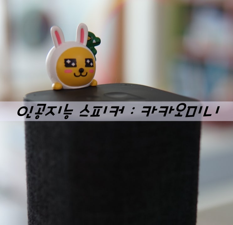  인공지능 스피커 : '헤이 카카오' 카카오 미니c 사용후기