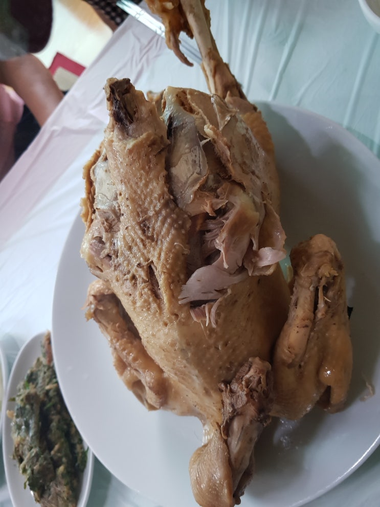  초복 건강한 여름나기시작