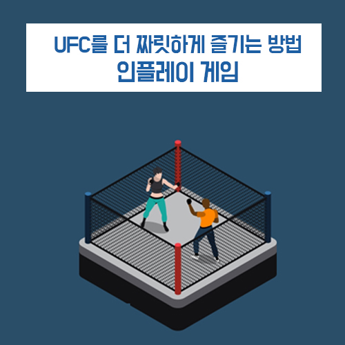  스포츠게임사이트에서 UFC에 배팅걸어보기