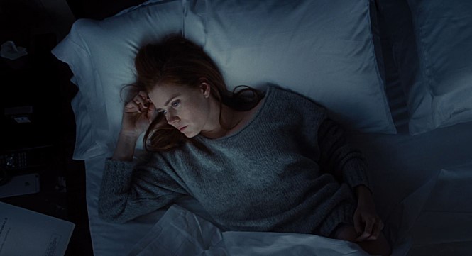  녹터널 애니멀스 Nocturnal Animals (2016)
