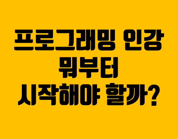 프로그래밍인강 뭐부터 시작해야할까?