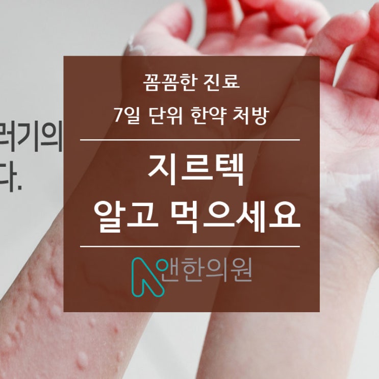  지르텍 두드러기약~ 알고 먹으세요 - 수원 두드러기