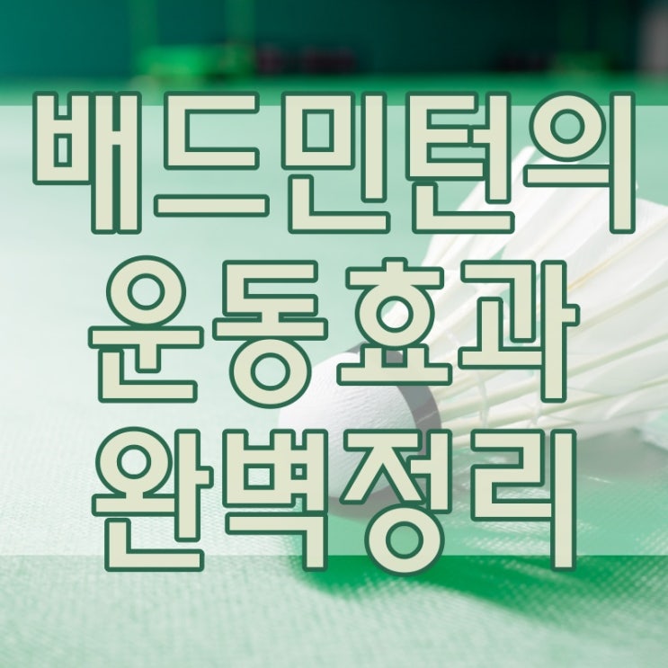  배드민턴 운동효과 10가지 완벽정리!