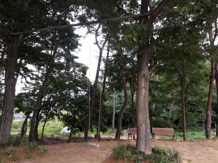  데스페라도/임재범