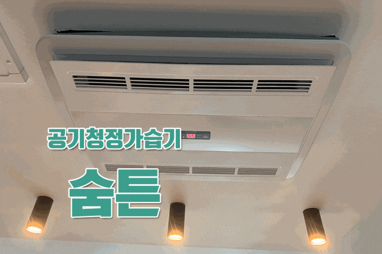  아이있는집에 필수!! 공기청정가습기