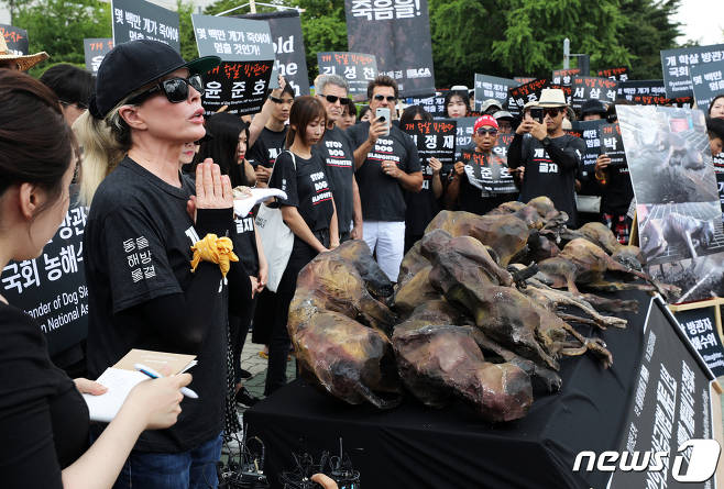  "개 도살 금지" 외친 킴 베이싱어..옆에선 초복 개고기 시식