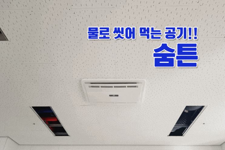  미세먼지정화는 물론 습도조절까지 칭찬해!!