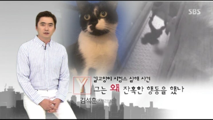  궁금한이야기Y 길고양이시컴스 잔혹살해사건