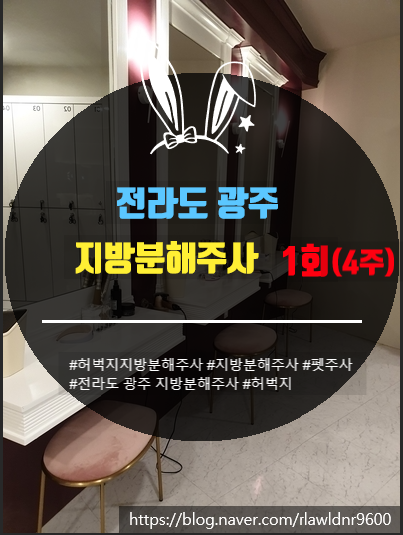  전라도 광주 허벅지 지방분해주사 (펫 주사) 1회 차 (4주) 후기