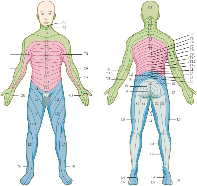  대상포진 초기증상 & 스카이조스터 대상포진백신 예방접종 가격