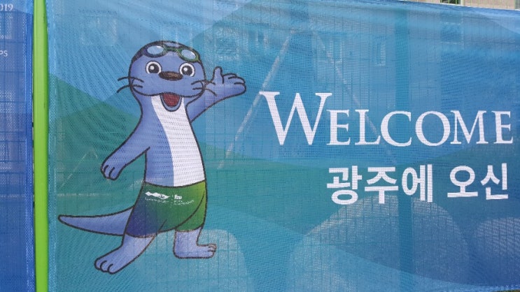 세계수영선수권대회 D-0